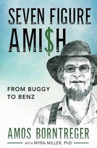 Cover image for Seven Figure Ami$h: From Buggy to Benz