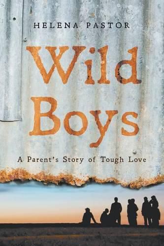 Wild Boys: A Parent's Story of Tough Love