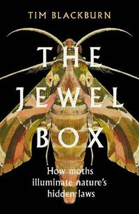 Cover image for The Jewel Box