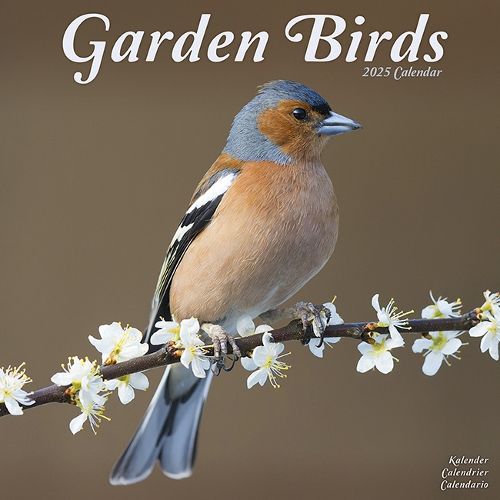 Cover image for Garden Birds Calendar 2025 Square Birds Wall Calendar - 16 Month