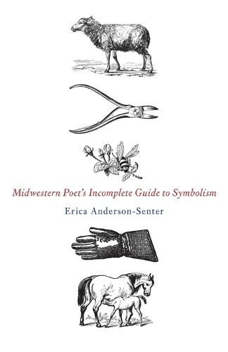 Cover image for Midwestern Poet's Incomplete Guide to Symbolism
