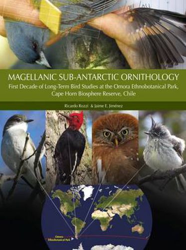 Cover image for Magellanic Sub-Antarctic Ornithology: The First Decade of Long-Term Bird Studies at the Omora Ethnobotanical Park, Cape Horn Biosphere Reserve, Chile