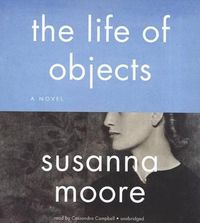 Cover image for The Life of Objects