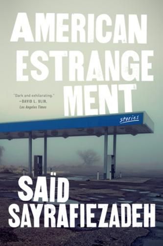 Cover image for American Estrangement: Stories