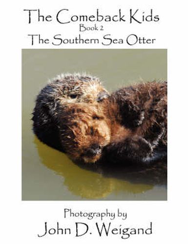 Cover image for The Comeback Kids: The Southern Sea Otter