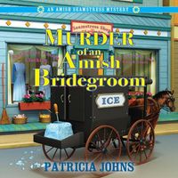 Cover image for Murder of an Amish Bridegroom