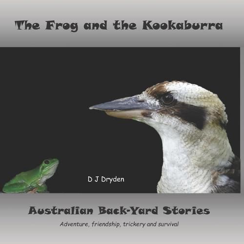 Cover image for The Frog and the Kookaburra: Australian Backyard Stories