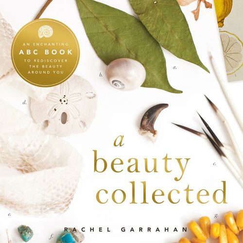 Cover image for Beauty Collected: A Captivating ABC Book to Rediscover the Beauty Around You