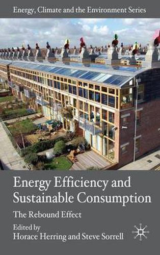 Cover image for Energy Efficiency and Sustainable Consumption: The Rebound Effect