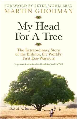 Cover image for My Head For A Tree