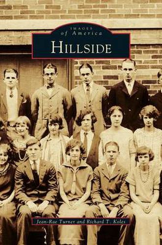 Cover image for Hillside