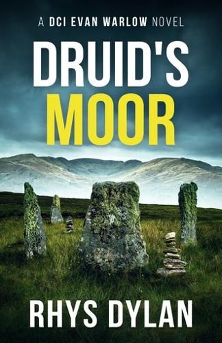 Cover image for Druid's Moor