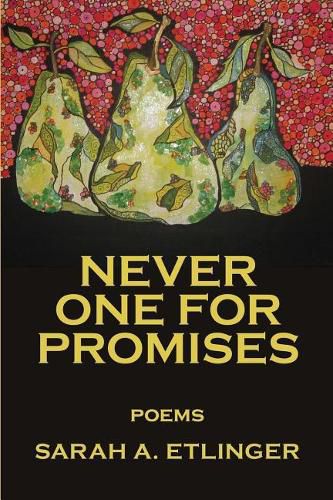 Cover image for Never One for Promises