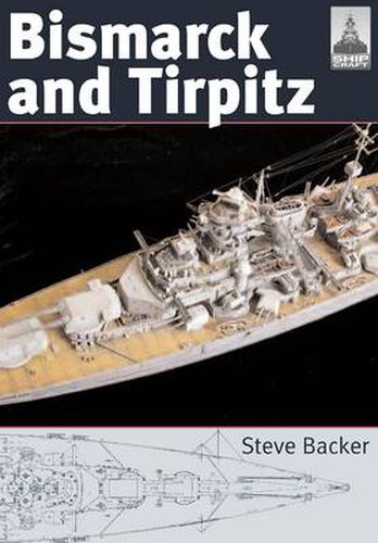 Cover image for Bismarck and Tirpitz