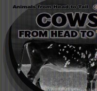 Cover image for Cows from Head to Tail