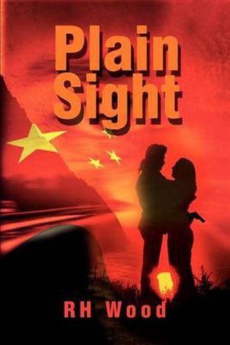 Cover image for Plain Sight