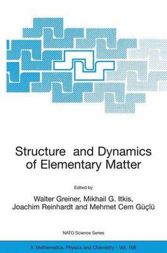 Cover image for Structure and Dynamics of Elementary Matter