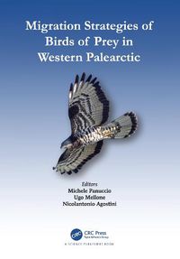 Cover image for Migration Strategies of Birds of Prey in Western Palearctic