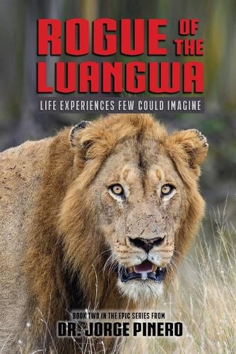Cover image for Rogue of the Lua
