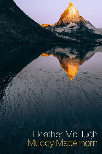 Cover image for Muddy Matterhorn