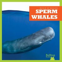 Cover image for Sperm Whales