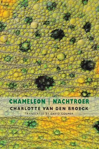 Chameleon | Nachtroer