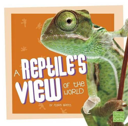 Cover image for A Reptile's View of the World