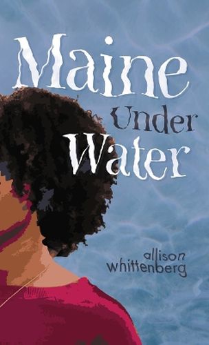 Cover image for Maine Under Water