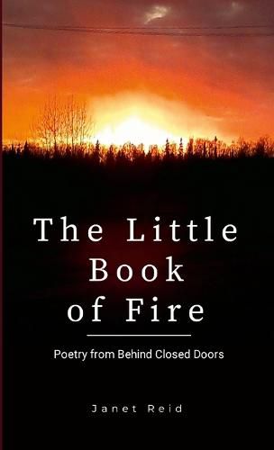 Cover image for Fire