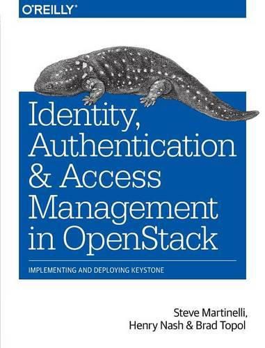 Cover image for Identity, Authentication and Access Management in OpenStack