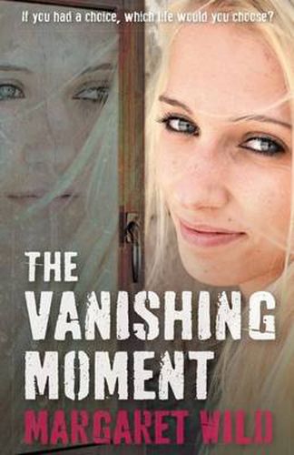 Cover image for The Vanishing Moment