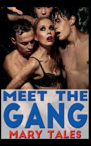 Cover image for Meet The Gang