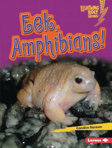 Cover image for Eek, Amphibians!
