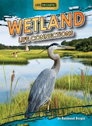 Cover image for Wetland Life Connections