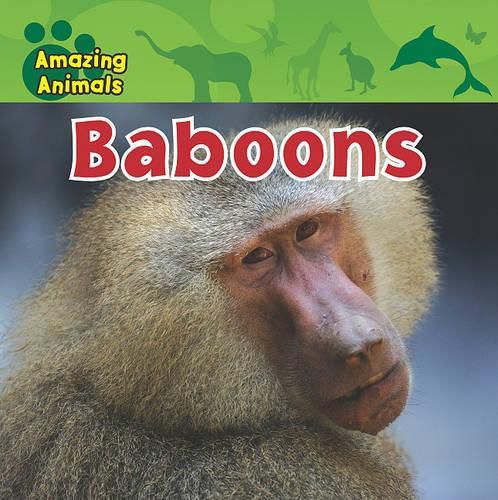 Cover image for Baboons