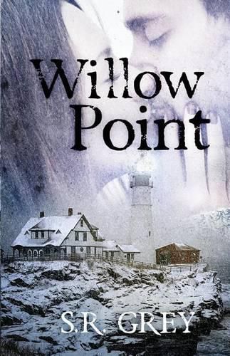 Cover image for Willow Point: A Harbour Falls Mystery #2