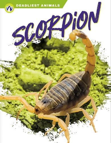 Cover image for Deadliest Animals: Scorpion