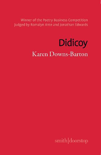 Cover image for Didicoy