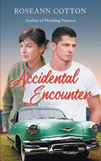 Cover image for Accidental Encounter