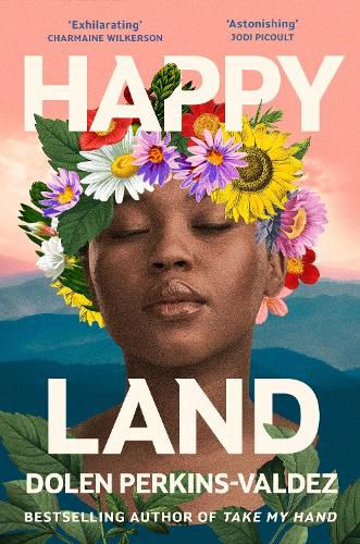 Cover image for Happy Land