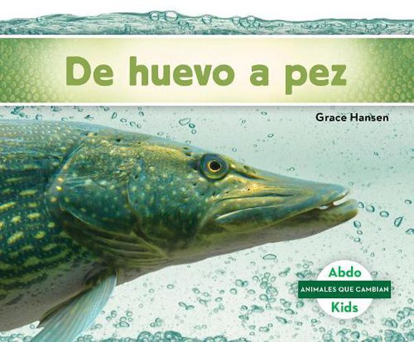 Cover image for De Huevo a Pez / Becoming a Fish