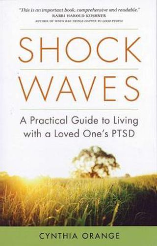 Cover image for Shock Waves