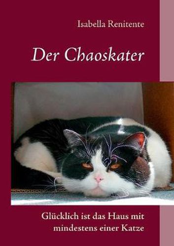 Cover image for Der Chaoskater - Glucklich ist das Haus mit mindestens einer Katze