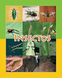 Cover image for Insectos