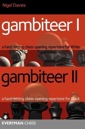 Cover image for Gambiteer