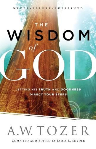 Cover image for The Wisdom of God - Letting His Truth and Goodness Direct Your Steps