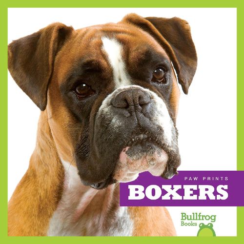 Cover image for Boxers