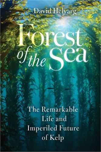 Cover image for Forest of the Sea