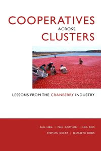 Cover image for Cooperatives across Clusters
