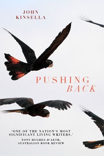 Cover image for Pushing Back